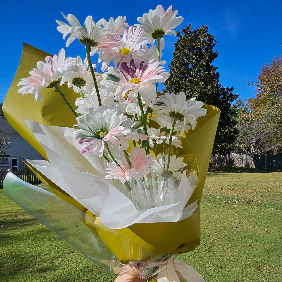 Painted Sunshine – Hand-colored Daisy Bouquet