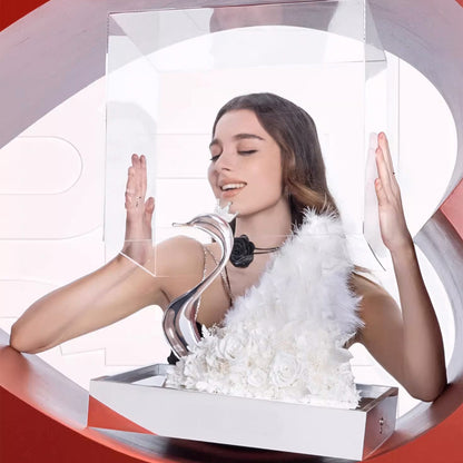 Celestial Swan Elegance 16in/41cm