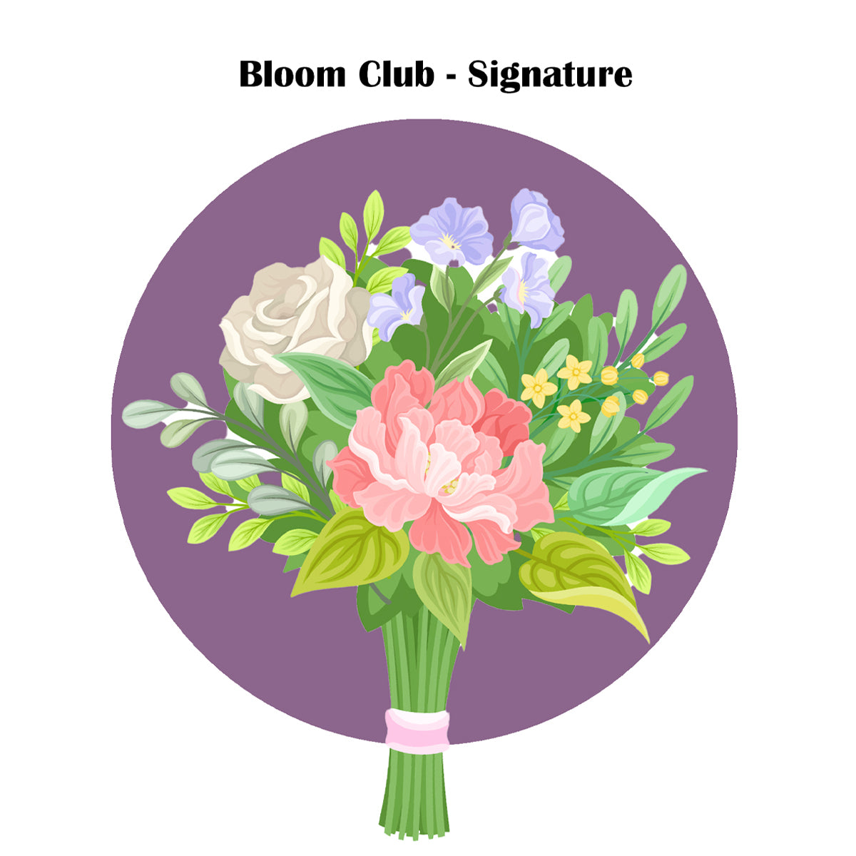 Bloom Club Subscription Tiers