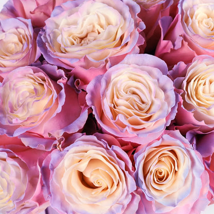 Whisper of Sunlight – Pastel Rainbow Roses in Silver Hug Bucket