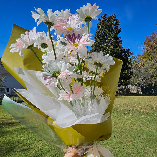 Painted Sunshine – Hand-colored Daisy Bouquet